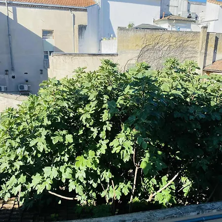 L'escale Urbaine Avec Fibre Internet 4 Pers Confort & Emplacement Ideal Apartment Marmande