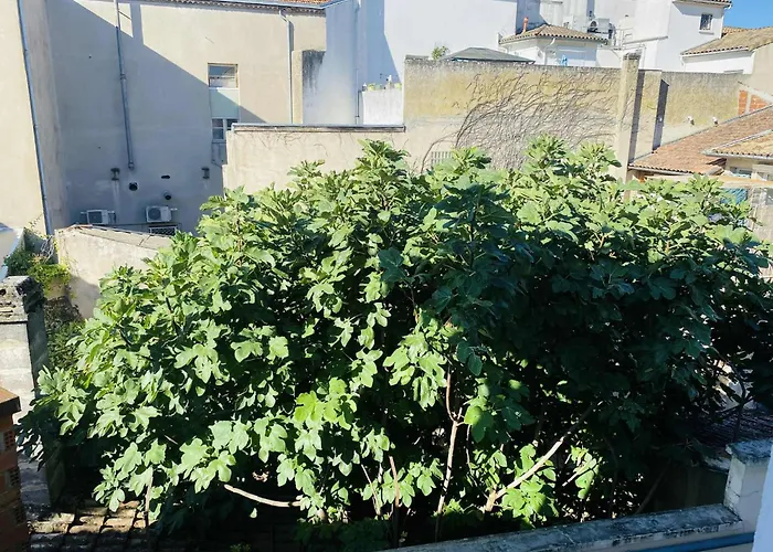 T2 Centre-Ville Avec Fibre Internet 4 Pers Confort & Emplacement Ideal Lejlighed Marmande